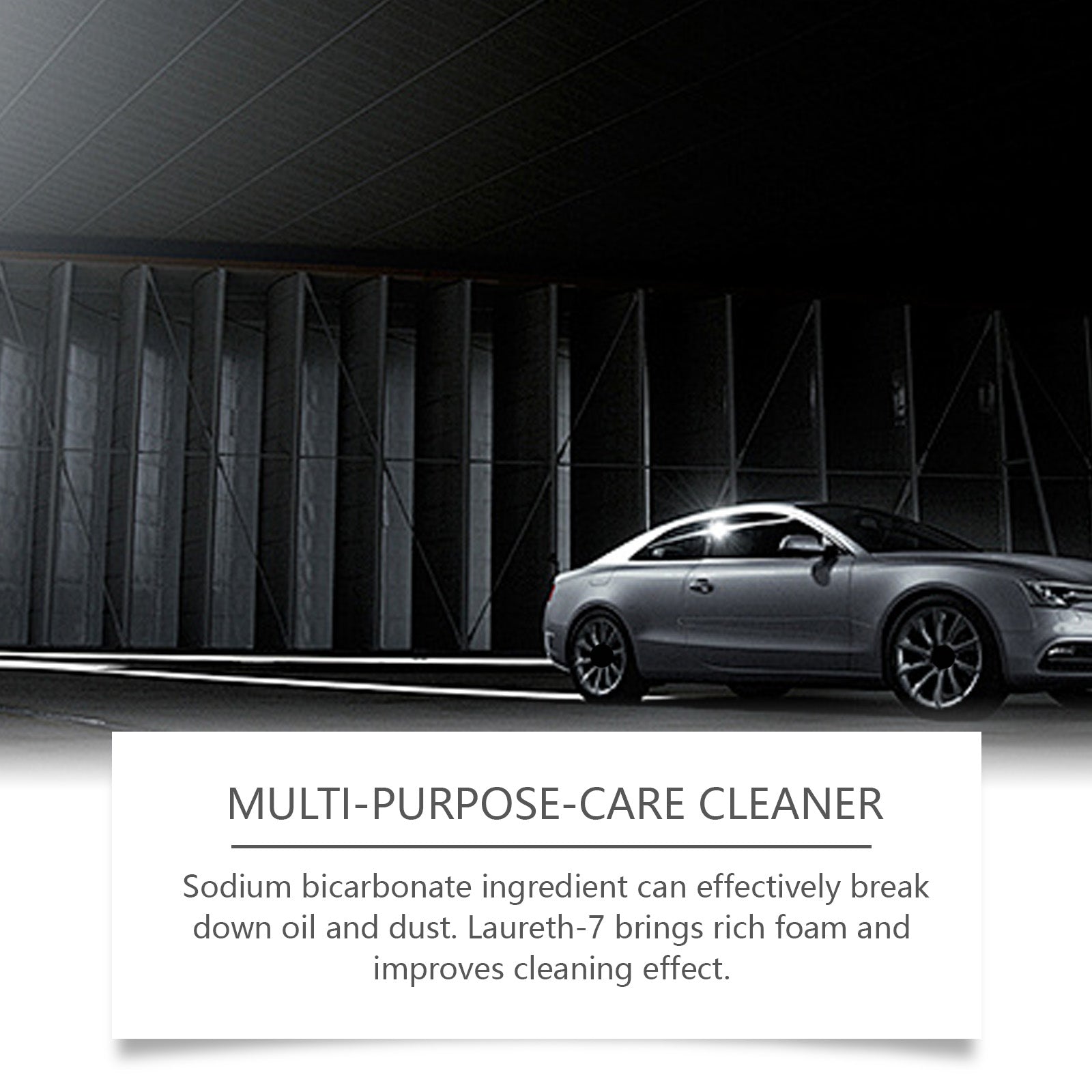 Rayhong Car Multi-Function Care Cleaner Leather Seat Interior Steering Wheel Decontamination Foam Cleaner