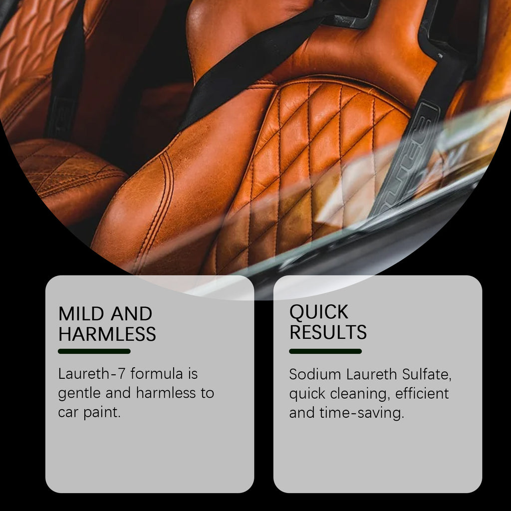 Rayhong Car Multi-Function Care Cleaner Leather Seat Interior Steering Wheel Decontamination Foam Cleaner
